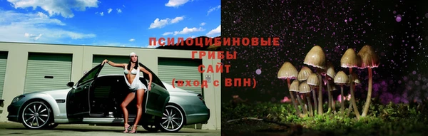 ГАЛЛЮЦИНОГЕННЫЕ ГРИБЫ Баксан