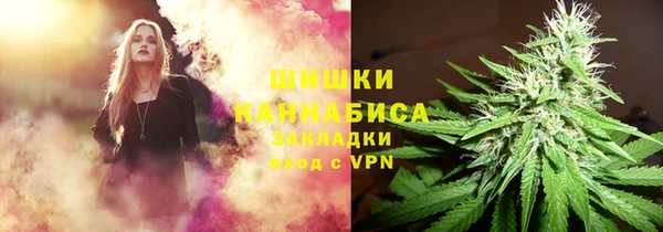 ПСИЛОЦИБИНОВЫЕ ГРИБЫ Балахна