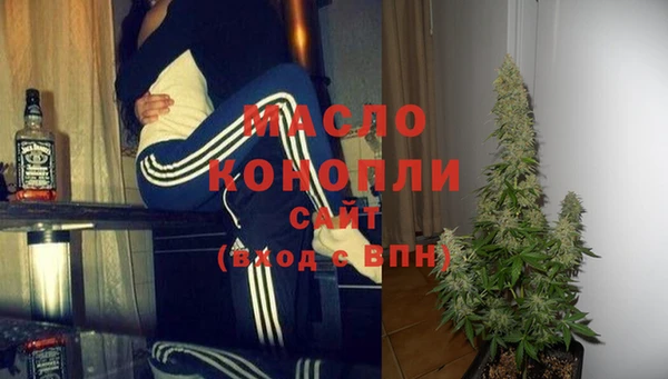 гашик Пересвет